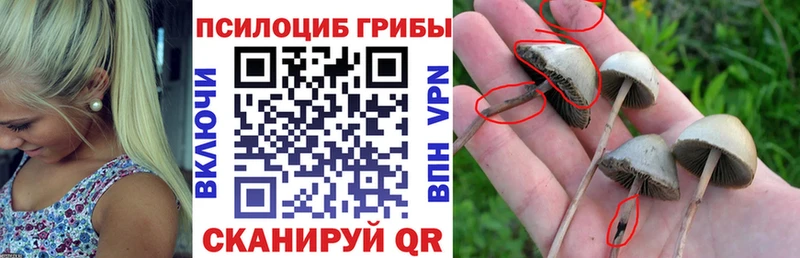 Галлюциногенные грибы мицелий  Суровикино 